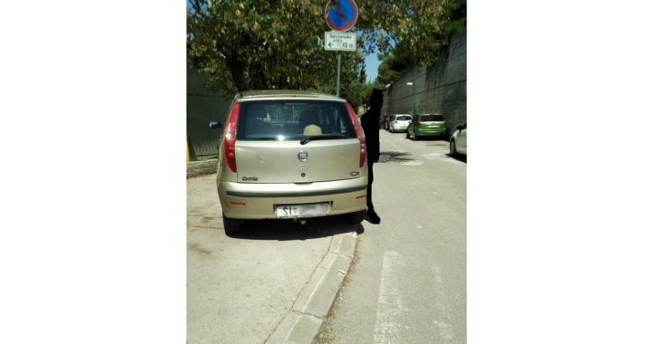 parking_baldekin2