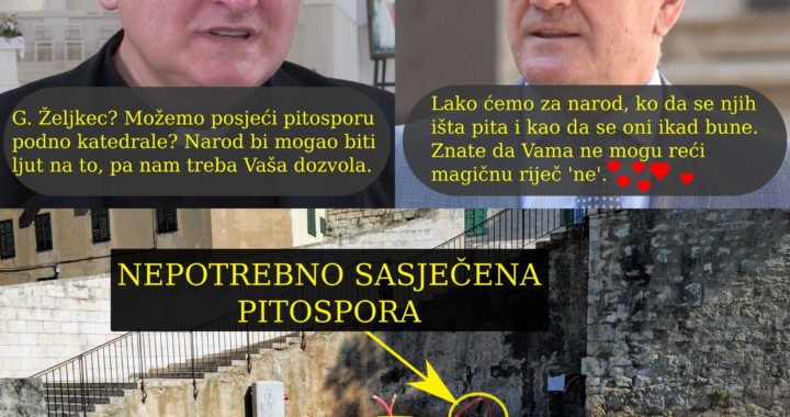 pitospora_mora_umrijeti