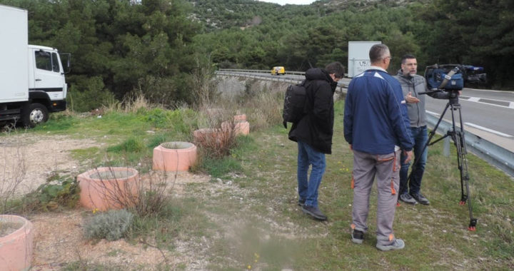 rokici