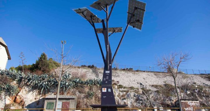 solarno_stablo_gat_vrulje