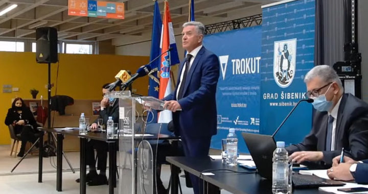 buric_ilekovic