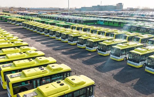 busevi