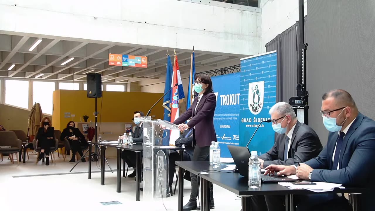 Madlena Roša Dulibić za govornicom Gradskog vijeća