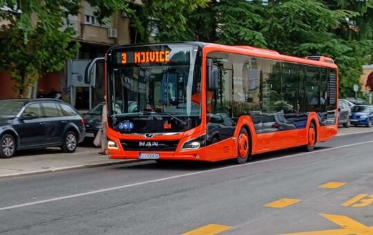 bus_njivica_mandalina_3