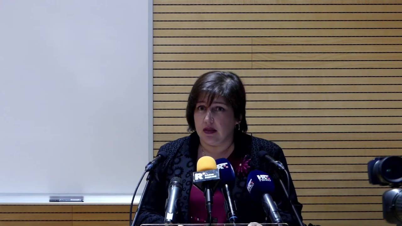 Sanja Slavica Matešić za govornicom Županijske skupštine