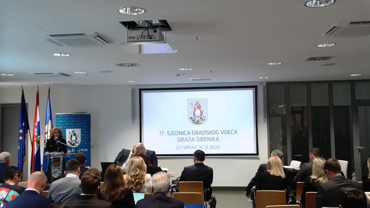 Nina Kursar za govornicom Gradskog vijeća
