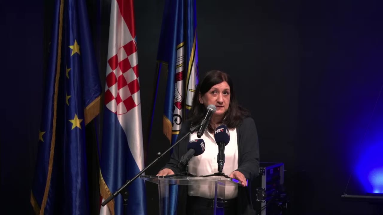 Ljiljana Nanjara za govornicom Gradskog vijeća