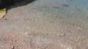AQM0zwVJximxOyCKr_YSW4yxpyJ7AE9YCsLNOZgGY0wMUFYXJCY3I9vpg_LEBDfeumsmppqXNQ0cPXXASa9OG1_1449578392729029-screenshot.jpg