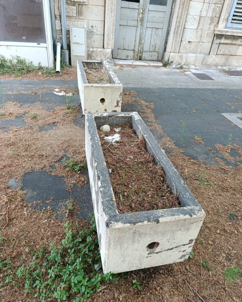 FB_IMG_1755078952284