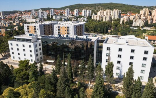 palacin