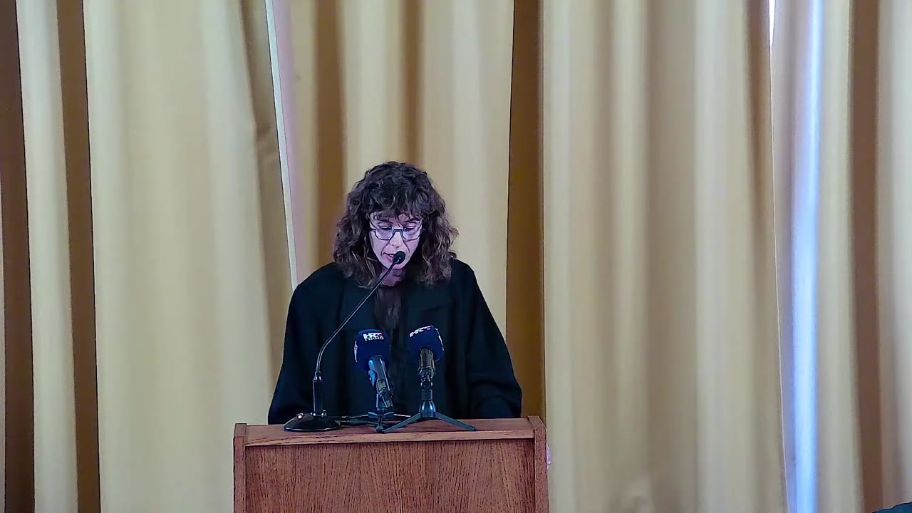 Maja Šintić za govornicom Gradskog vijeća