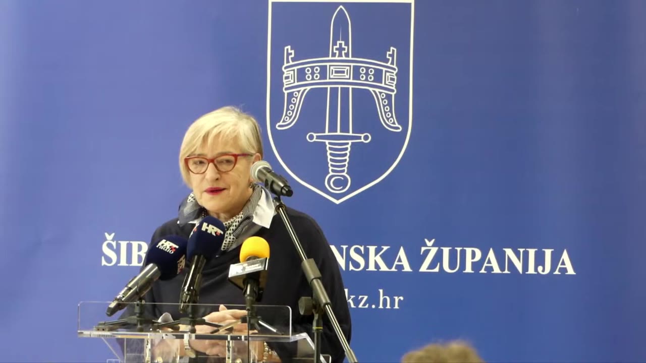 Sanja Radin Mačukat za govornicom Županijske skupštine