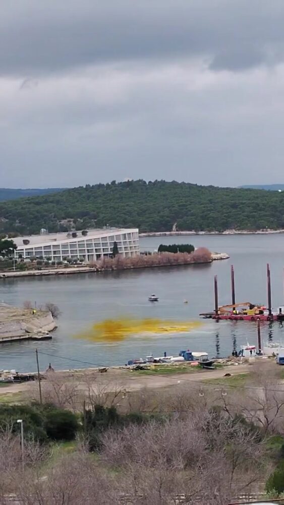 877570238515935-screenshot