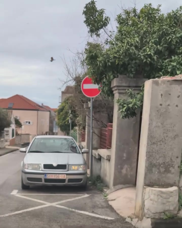 2114115782676133-screenshot