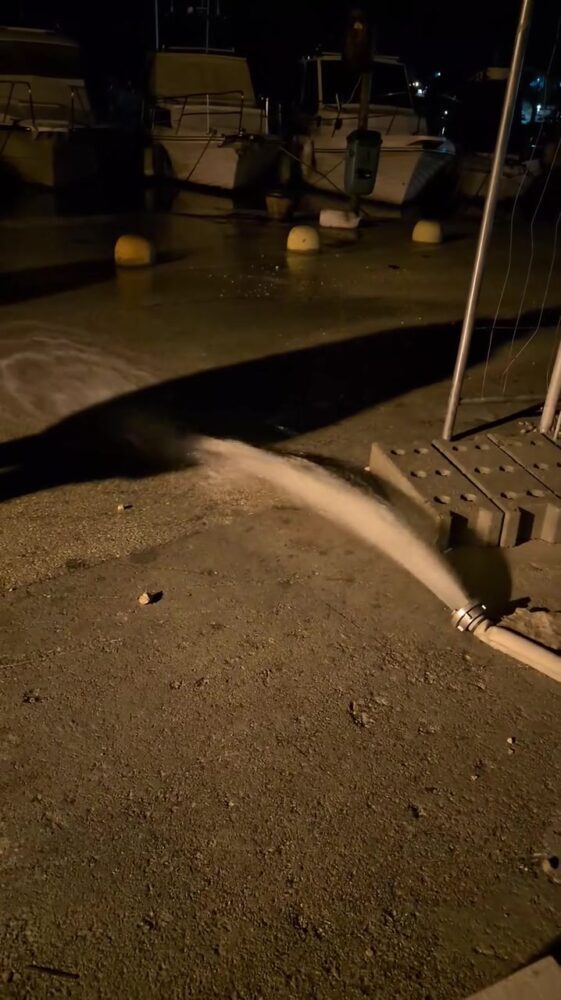 876138405044511-screenshot