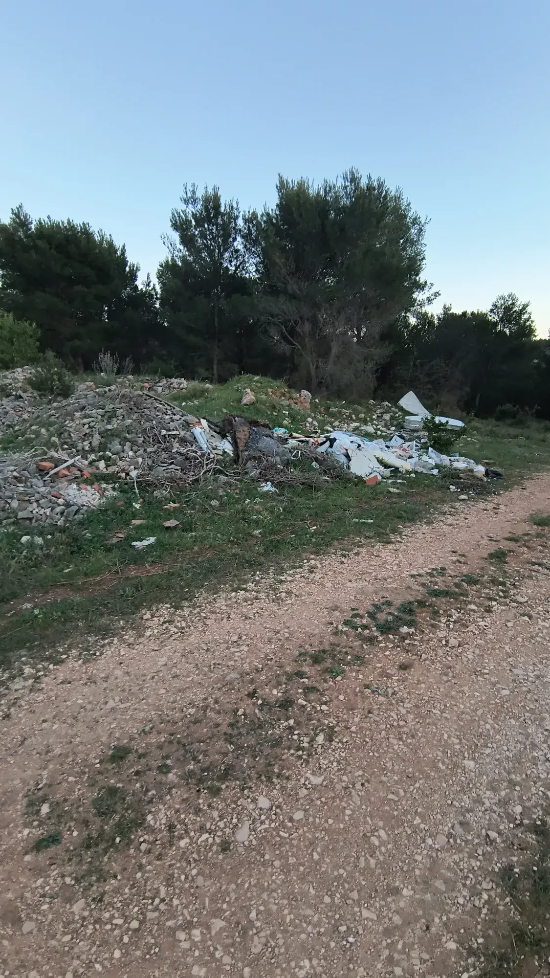 Hrpa otpada uz pristupni put pod borovima
