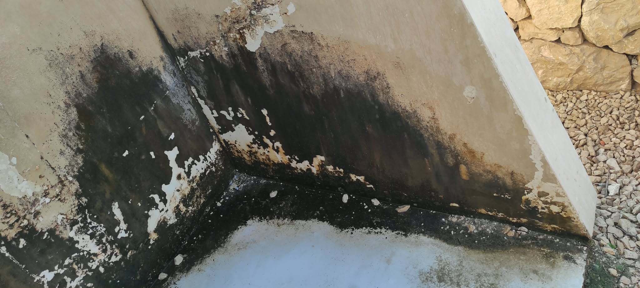 Detalj spoja zidova prekrivenog plijesni i oljuštenom bojom
