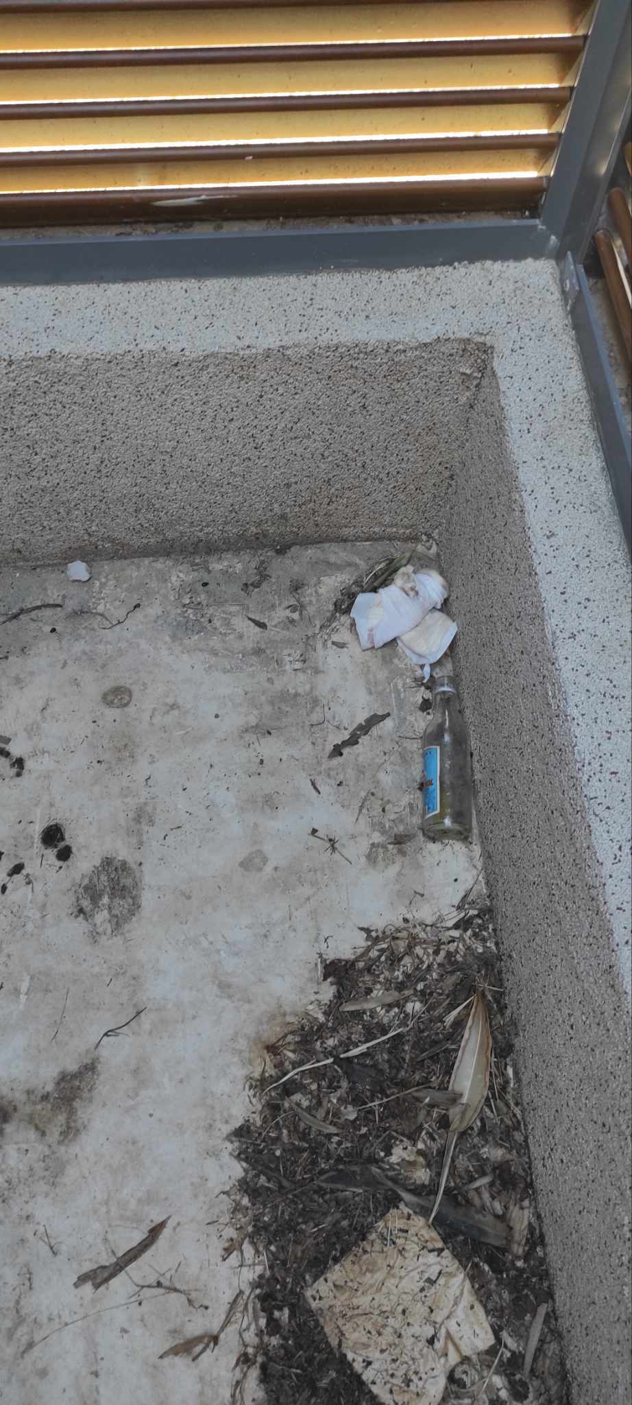 Boca i papirnati otpad u betonskom kutu, uz suho lišće i nečistoću