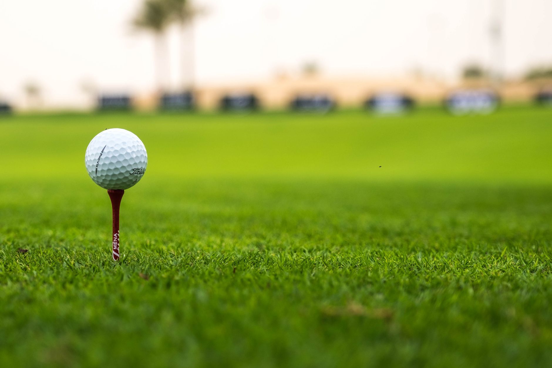 golf ball on grass