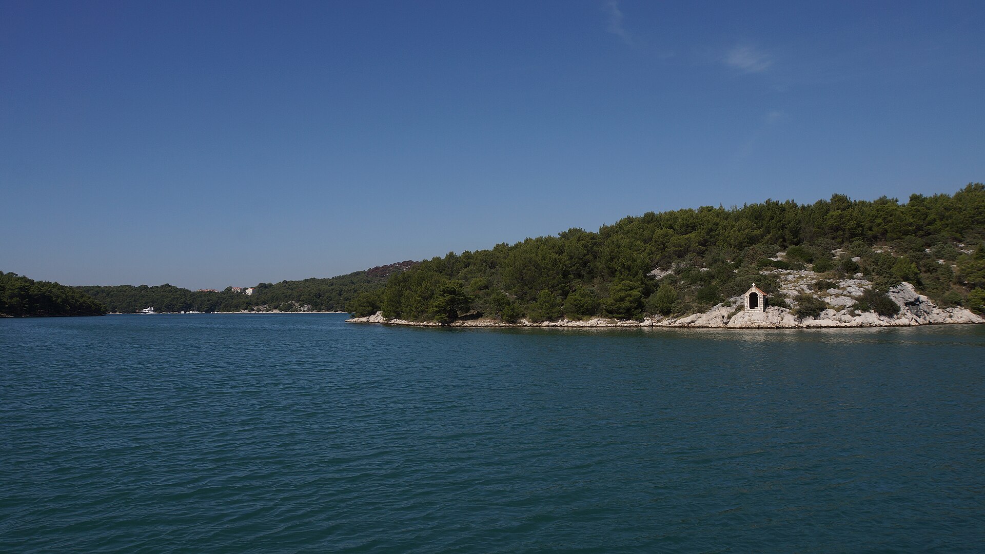 Morinjski zaljev, mirno plavo more okruženo borovom šumom.