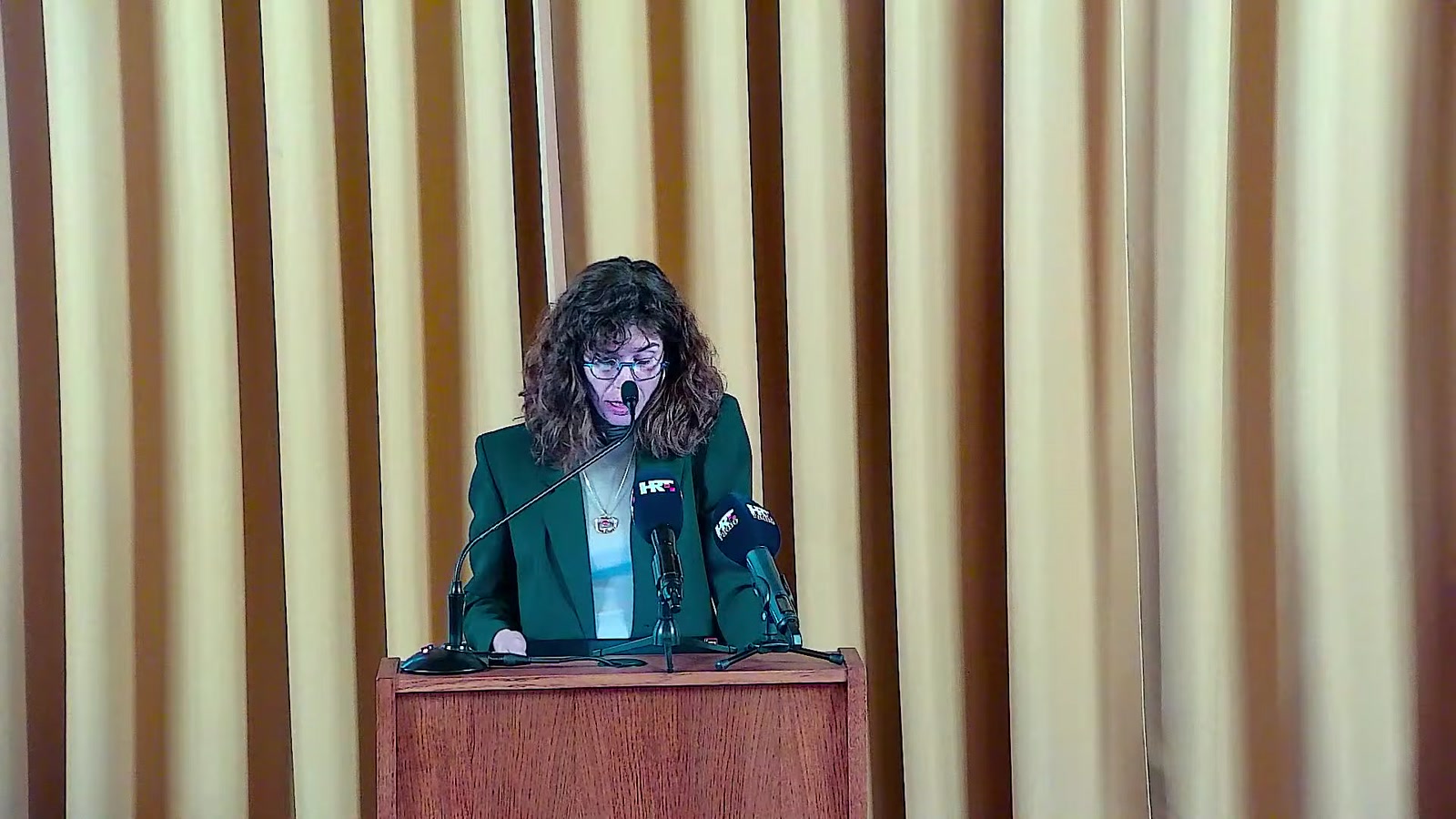 Maja Šintić za govornicom Gradskog vijeća