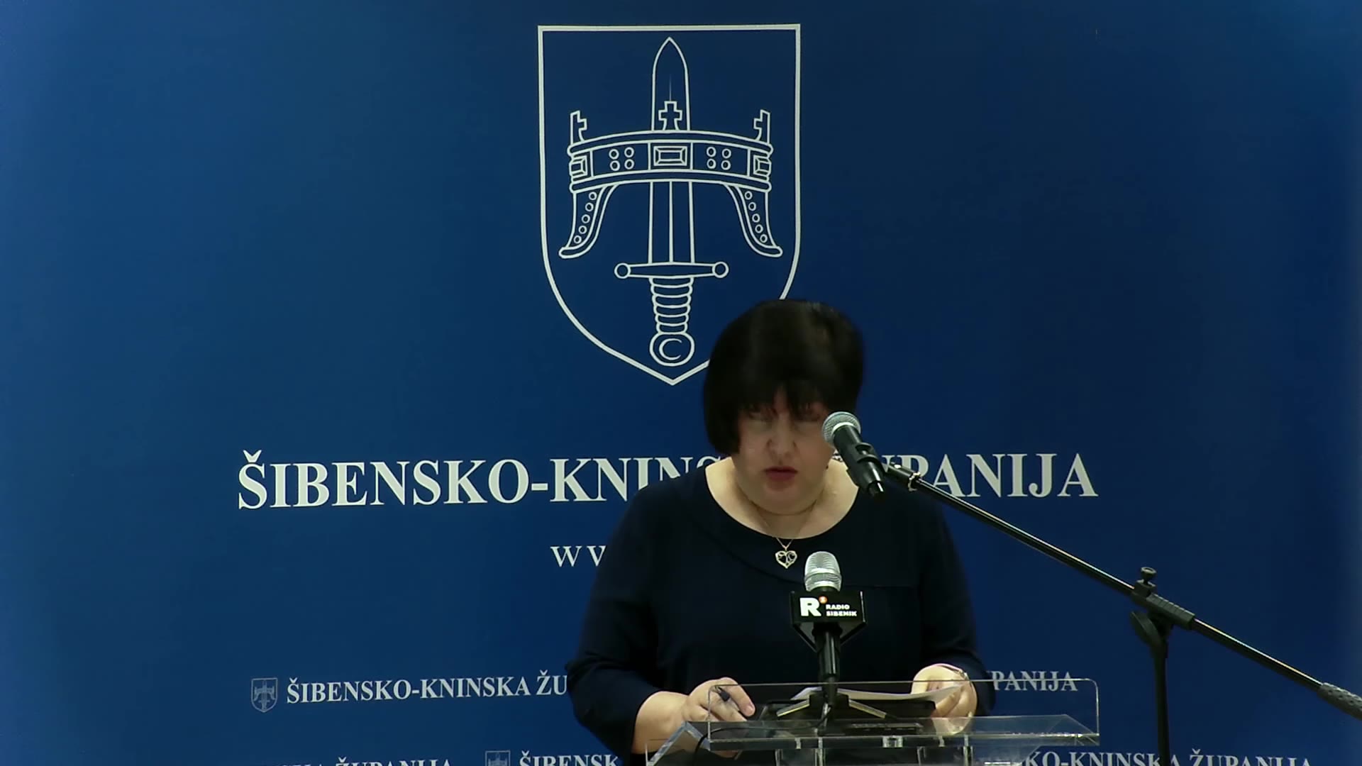Sanja Slavica Matešić za govornicom Županijske skupštine