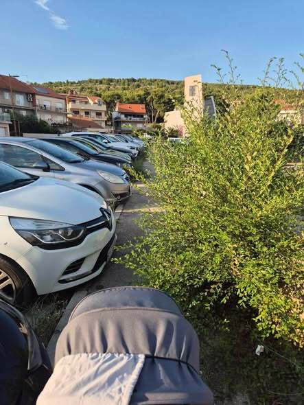 Zarasla staza iznad škole na Vidicima