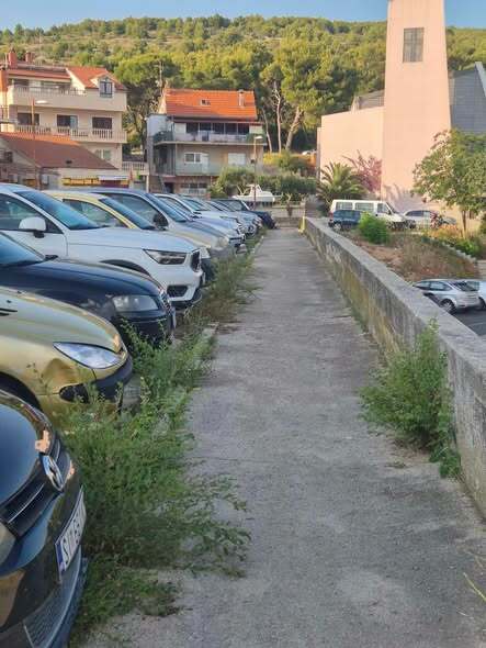 Zarasla staza iznad škole na Vidicima