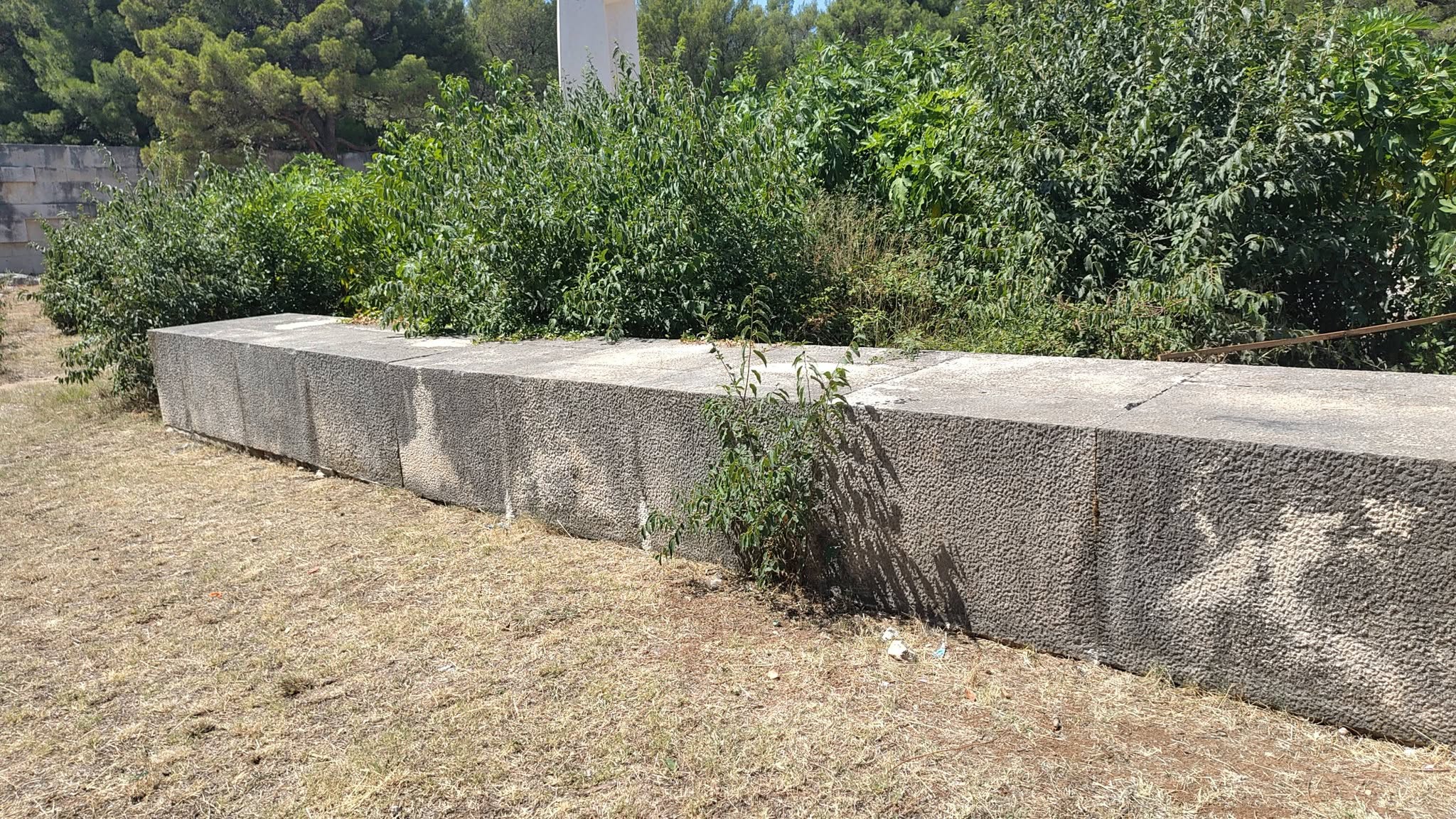 Spomen-kamen zarastao u grmlje i išaran grafitom
