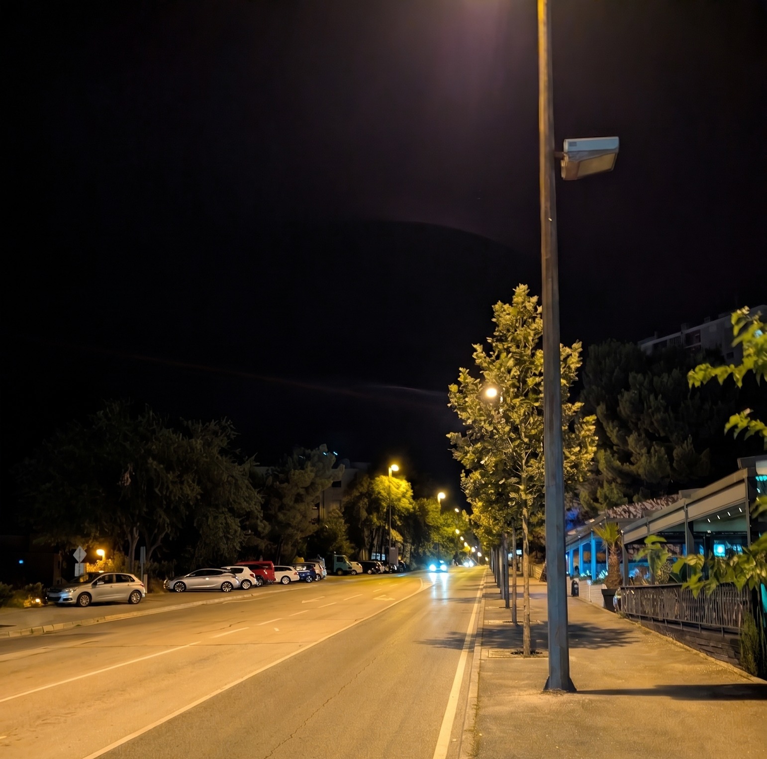 Što se čeka sa sadnjom stabala prema gradu?