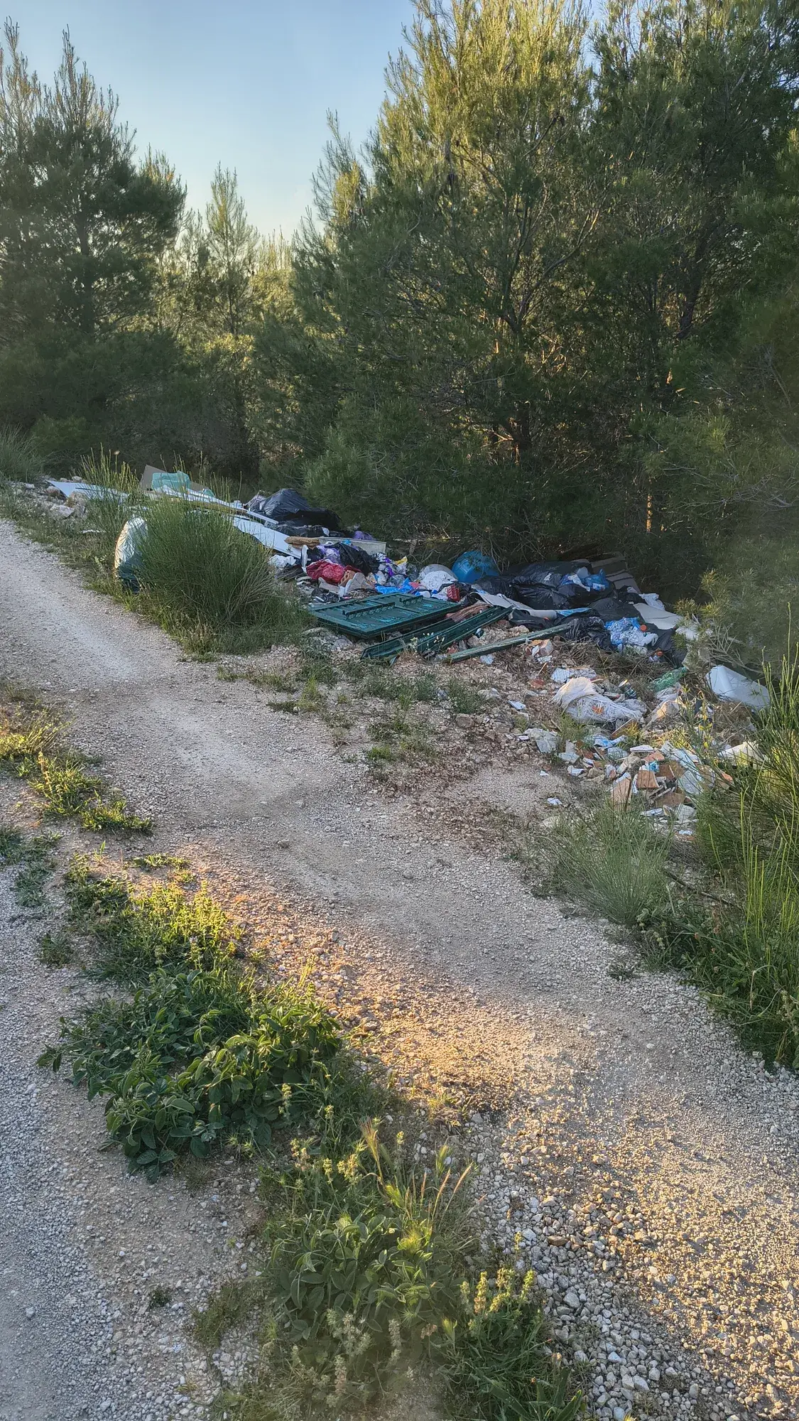 Hrpa miješanog otpada uz makadam kroz borovu šumu
