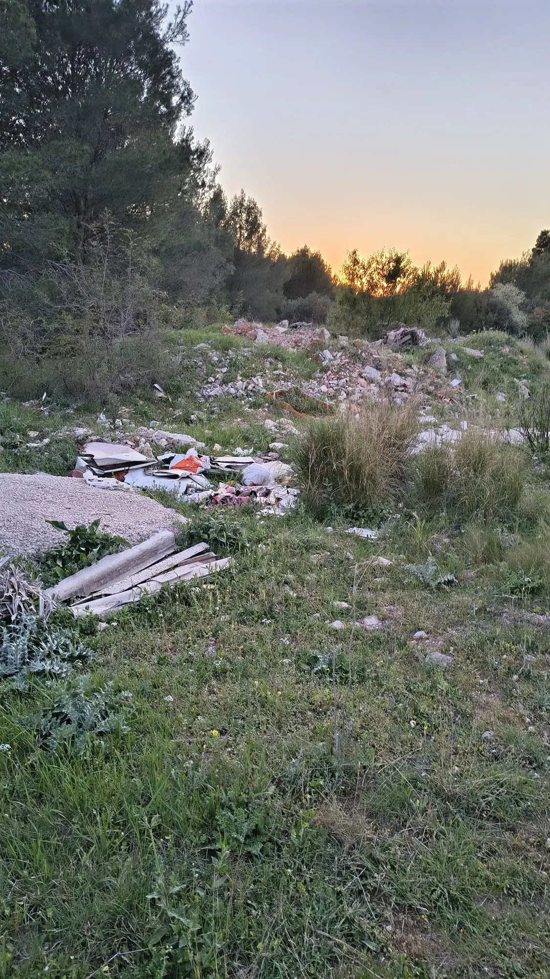 Plastika i komunalni otpad razasuti u zelenilu pri zalasku sunca