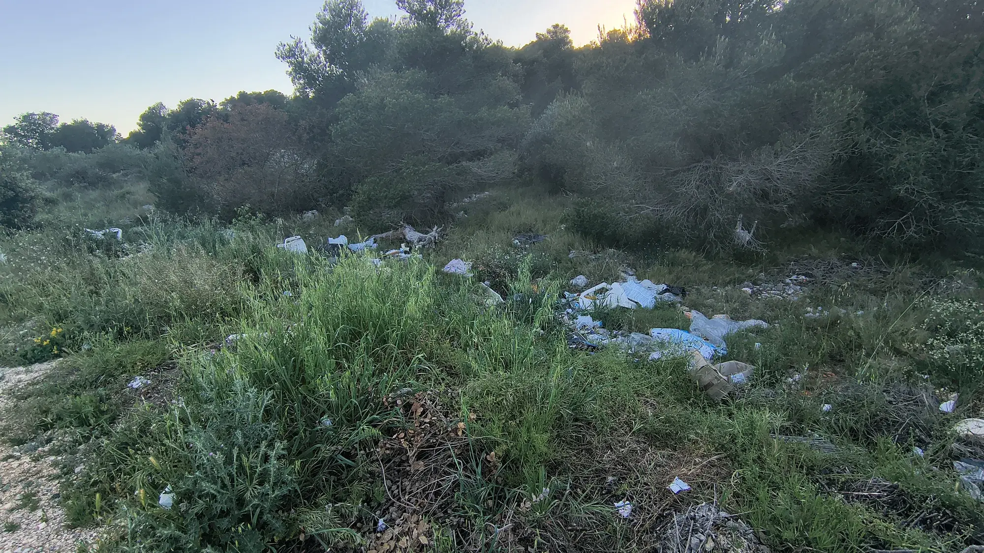 Plastika razasuta u zelenilu pri zalasku sunca