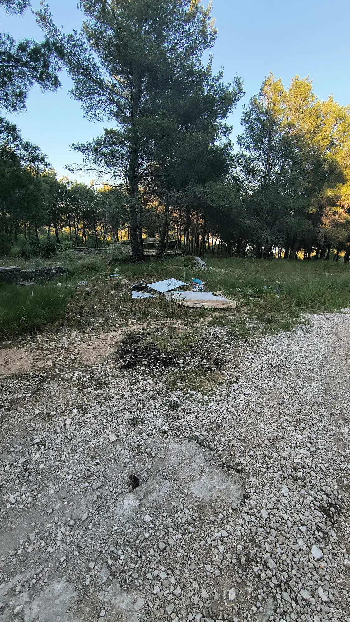 Krupni otpad odložen u rubnom dijelu borove šume